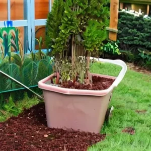 Дачные работы в октябре: какие задачи закрывают перед зимой