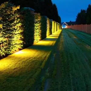 Освещение на даче: какие работы нужны для участка и дорожек