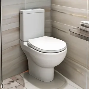 Сантехника под биде и гигиенический душ: как подготовить коммуникации