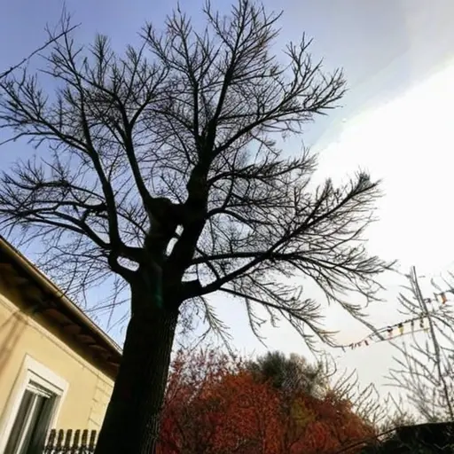 Дачные работы по обрезке деревьев: когда и что делать на участке