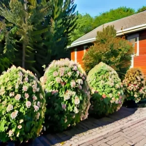 Обрезка кустарников на даче: какие работы проводят весной и осенью