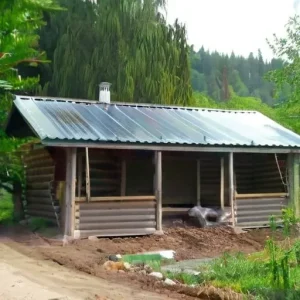 Дачные работы во время засухи: как сохранить участок в хорошем состоянии